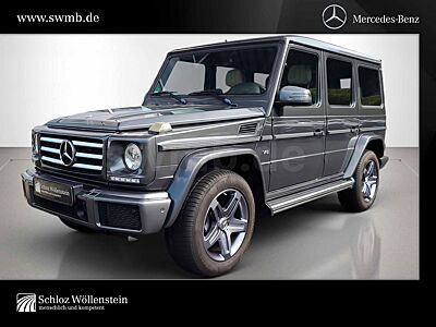 Mercedes-Benz G 500 LED/Standhzg/Fahrass/Sitzklima/Kontursitze