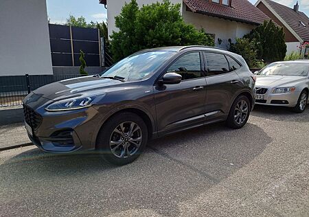 Ford Kuga 2.0 EcoBlue Auto ST-Line X ST-Line X