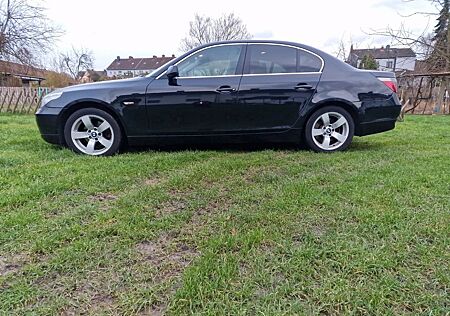 BMW 525i E60 gut gepflegt