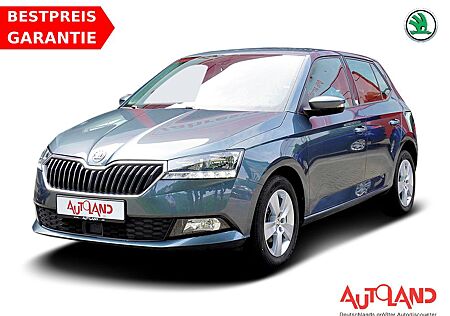 Skoda Fabia 1.0 TSI Kamera PDC Sitzheizung Tempomat