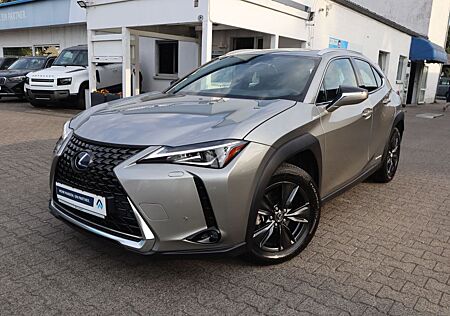 Lexus UX 250h Executive Line|NAVIGATION|LEDER|R-CAM|