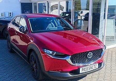 Mazda CX-30 2.5L e-SKYACTIV G 140ps Homura, 140 PS, Si