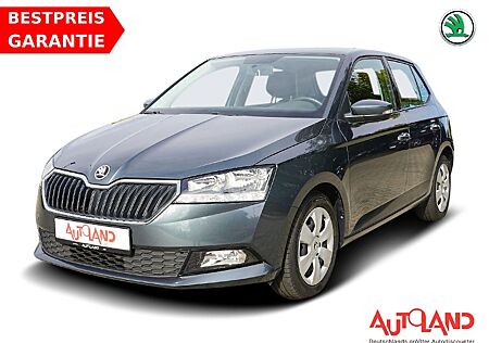 Skoda Fabia 1.0 TSI Active Sitzheizung PDC Bluetooth