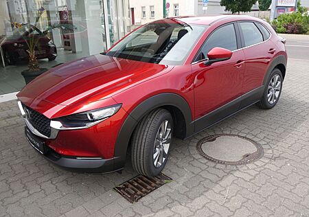 Mazda CX-30 e-SKYACTIV-G M-Hybrid 150 KRACHER AKTION