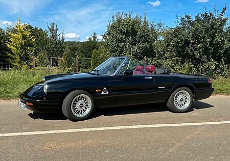 Alfa Romeo Spider 115 - H-Kennzeichen, TÜV NEU