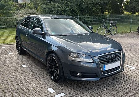 Audi A3 8P 1.6 Sportback / 8-fach bereift