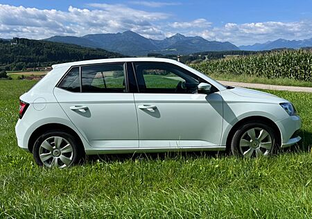 Skoda Fabia 1.0l MPI 44kW ACTIVE ACTIVE