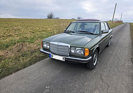 Mercedes-Benz 230 gebraucht kaufen Mercedes-Benz 230 230e W123 H-Zulassung