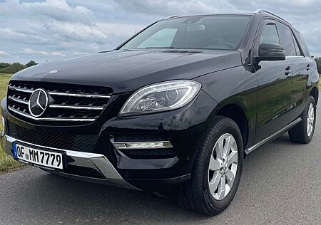 Mercedes-Benz ML 250 gebraucht kaufen Mercedes-Benz ML 250 BlueTEC 4MATIC -