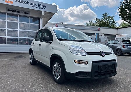 Fiat Panda Base