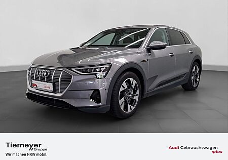 Audi e-tron 50 Q 360° LM20 STANDKLIMA PRIVACY