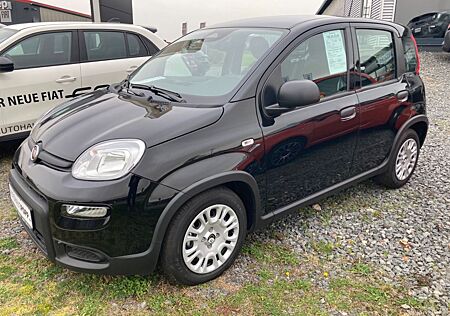 Fiat Panda Pandina 1.0 GSE Hybrid