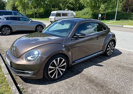 VW New Beetle Volkswagen