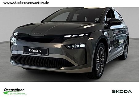 Skoda Enyaq 60 Matrix Kamera Navi PDC Memory SHZ