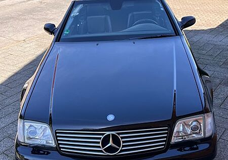 Mercedes-Benz SL 320 - mit AMG Felgen