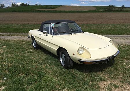 Alfa Romeo Spider gebraucht kaufen Alfa Romeo Spider 1600 (Oldtimer)