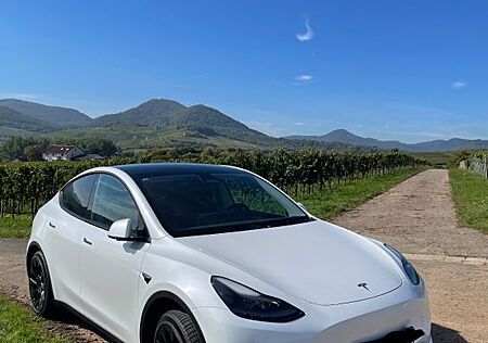 Tesla Model Y Long Range, AWD, 20", viel Zubehör, top!