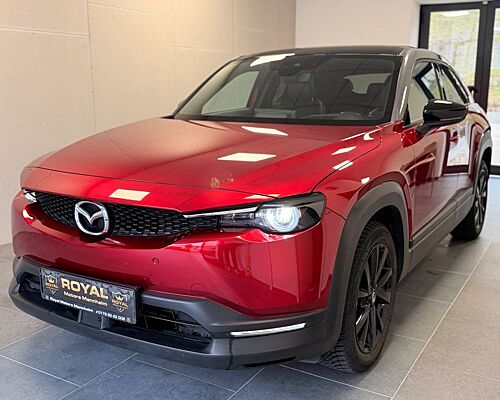 Mazda MX-30-ACC- Head Up-Kamera-Totwinkel-SpurAss