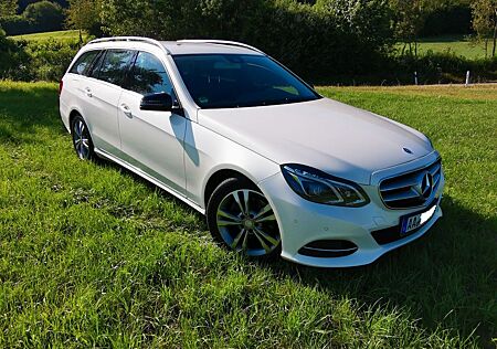 Mercedes-Benz E 220 BlueTEC BE T Edition AVANTG. Auto. Edi...