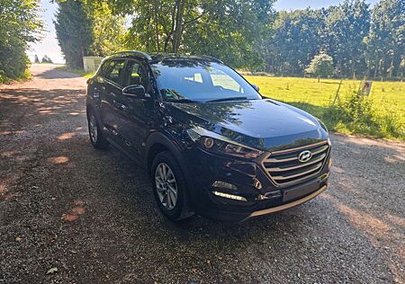 Hyundai Tucson blue Trend / 113 Tkm /Tüv 01.2027