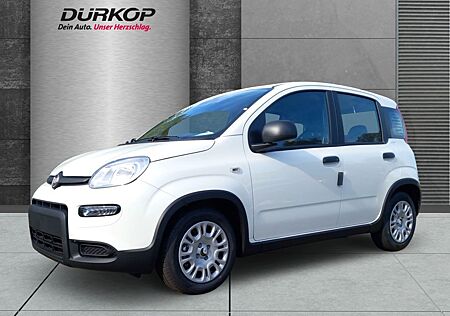 Fiat Panda Pandina Mild Hybrid 1.0 GSE City Paket DAB