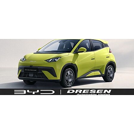 BYD Dolphin Surf leasen