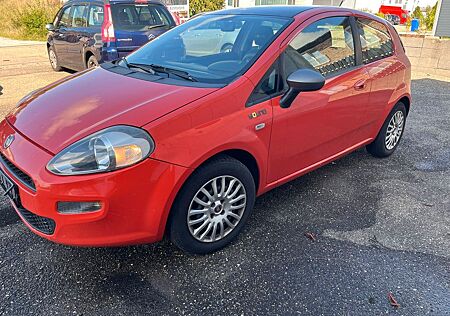 Fiat Punto Young
