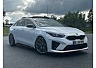 Kia Pro_ceed Proceed GT / Bastuck AGA / HR Federn / Panorama