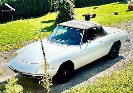 Alfa Romeo Spider 1600 H-Kennzeichen