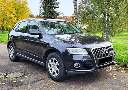 Audi Q5 gebraucht kaufen Audi Q5 2.0 TDI 110kW Bi-Xenon Leder Euro 5