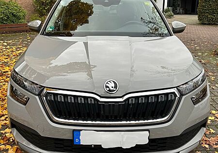 Skoda Kamiq gebraucht kaufen Skoda Kamiq 1.0 TGI G-TEC Style Style
