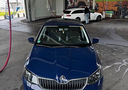 Skoda Fabia 1.4l TDI 66kW Style Combi Style