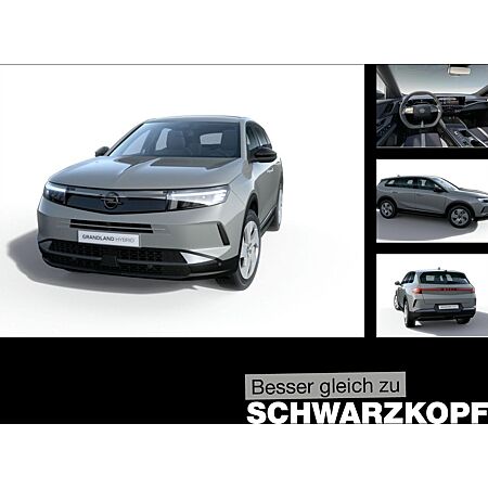 Opel Grandland X leasen