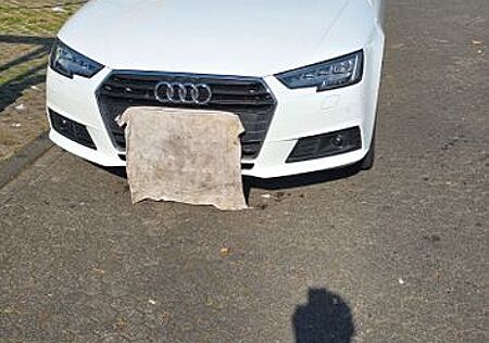 Audi A4 2.0 TDI 140kW S tronic design Avant design