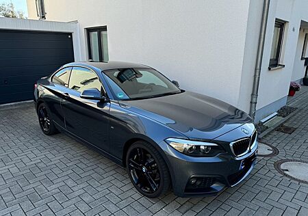 BMW 218i Coupé M Sport LCI 1.Hd DAB HiFi PDC NAV 18'