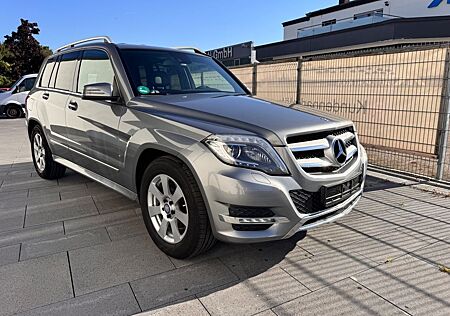 Mercedes-Benz GLK 220 CDI BlueEFFICIENCY -