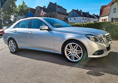 Mercedes-Benz E 300 BlueEFFICIENCY ELEGANCE