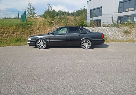 Audi V8 4,2l exklusive