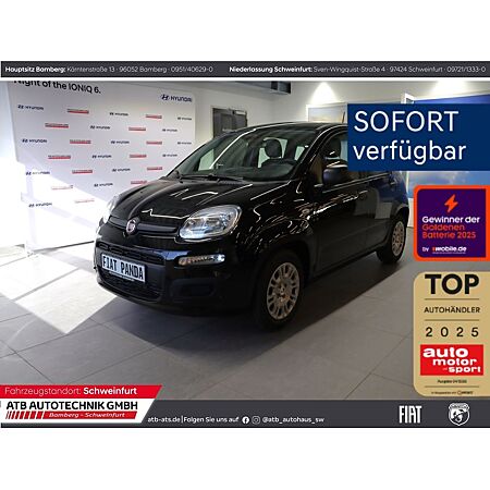Fiat Panda leasen