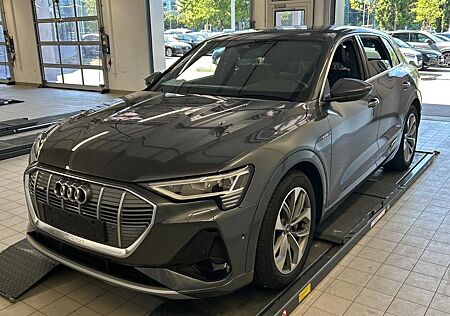 Audi e-tron 55 Q 2x S LINE PANO/SIDE/AIR-SUS/LED/KAM.