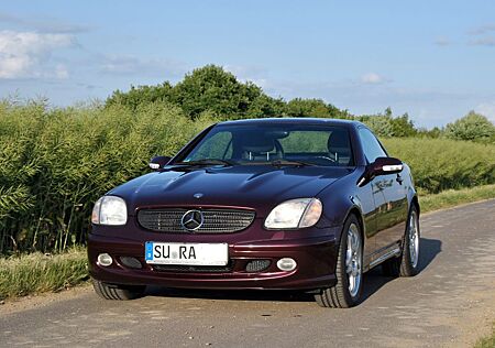 Mercedes-Benz SLK 320 - designo purpur AMG-Felgen