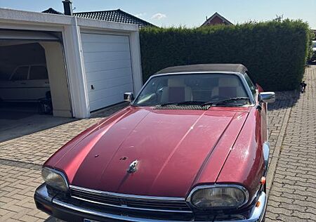 Jaguar XJS V12 Standort Dresden