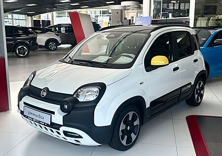 Fiat Panda Pandina Cross, Kurzzulassung