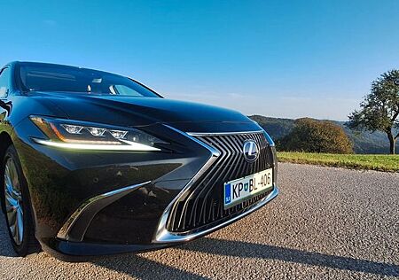Lexus ES 300 300h Luxury Line Automatik Luxury Line
