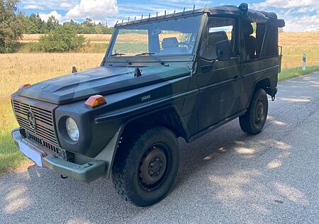 Mercedes-Benz G 250 GD 250 Wolf
