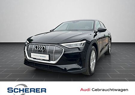 Audi e-tron 230 kW quattro NAVI SHZ LED GRA