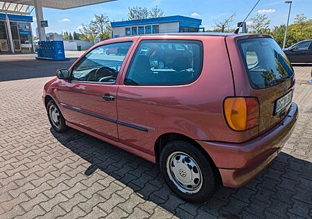 VW Polo Volkswagen 1.4 44kW Basis