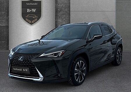 Lexus UX 250 h Style Edition LED+KAMERA+APP+ACC+TOTW
