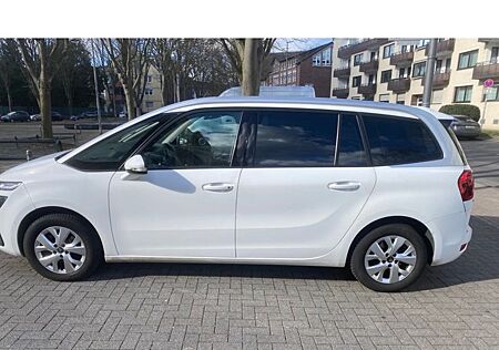 Citroën C4 Picasso BlueHDi 120 Stop&Start BUSINESS C...