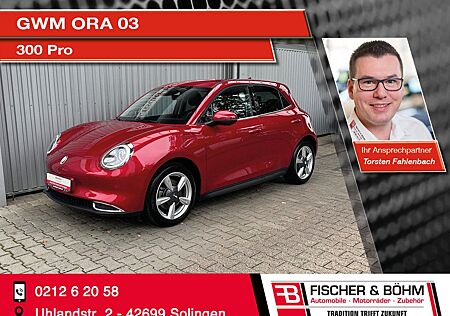 GWM Ora 03 300 Pro mit Wärmepumpen-Funktion